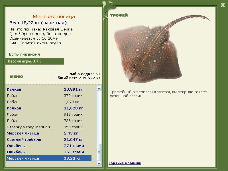Морская лисица 