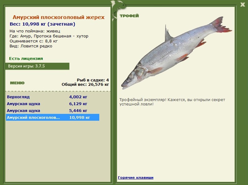  хутор • Амур • РУССКАЯ РЫБАЛКА