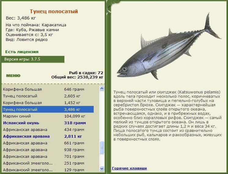 турниры • РУССКАЯ РЫБАЛКА