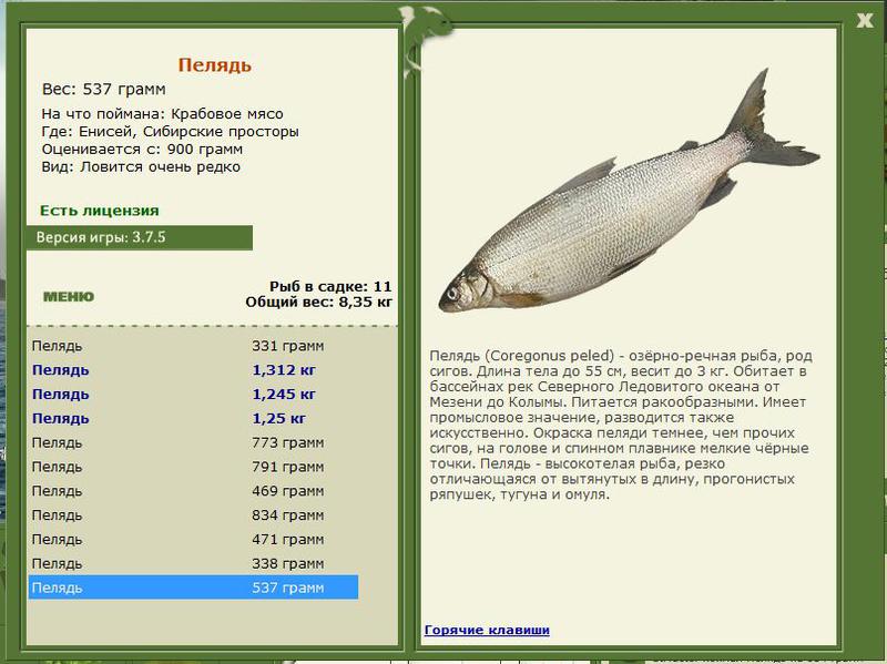 РУССКАЯ РЫБАЛКА Installsoft Edition 