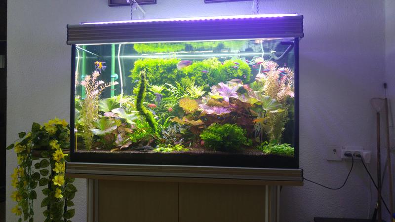  Начать новую тему