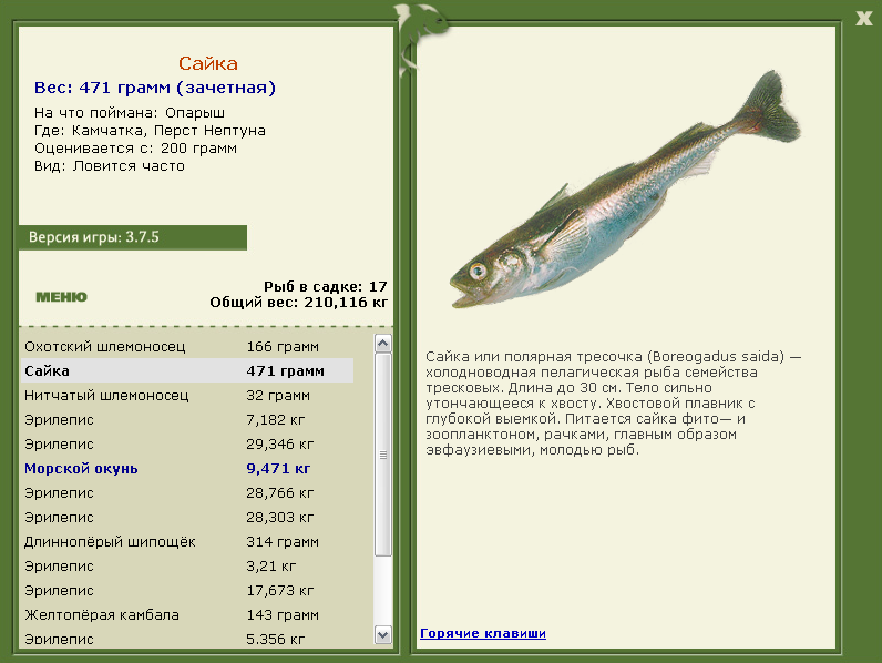 Каспийское море 