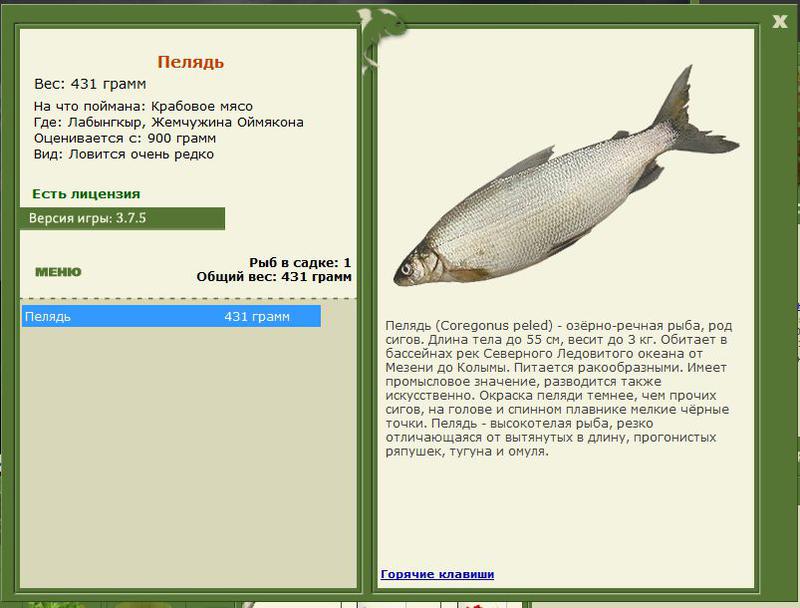 РУССКАЯ РЫБАЛКА Installsoft Edition 