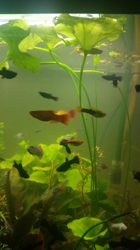  Начать новую тему