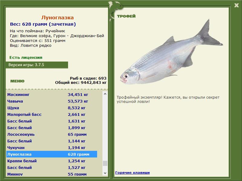 Луноглазка 