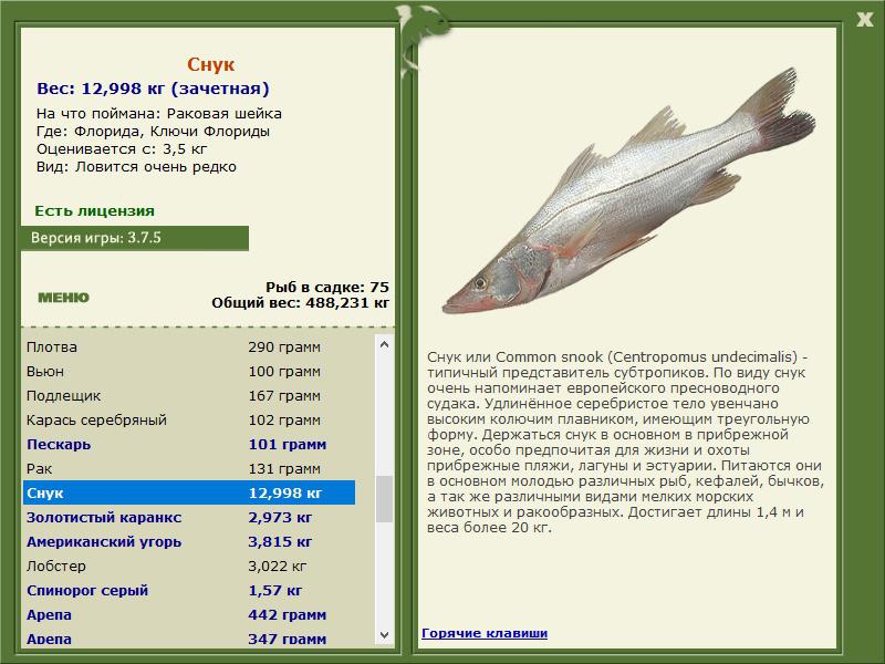 РУССКАЯ РЫБАЛКА Installsoft Edition 
