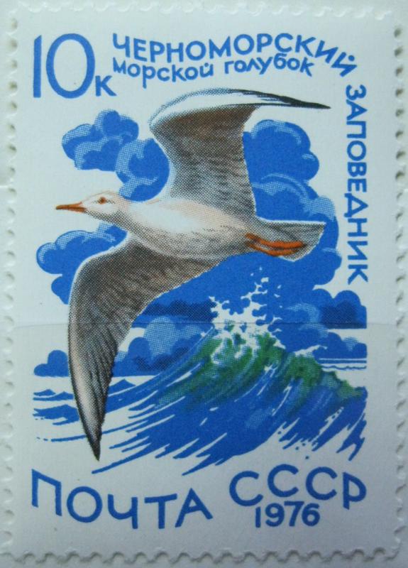 Водоплавающие птицы