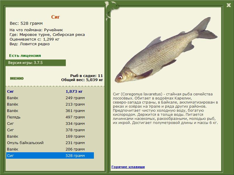 РУССКАЯ РЫБАЛКА Installsoft Edition 