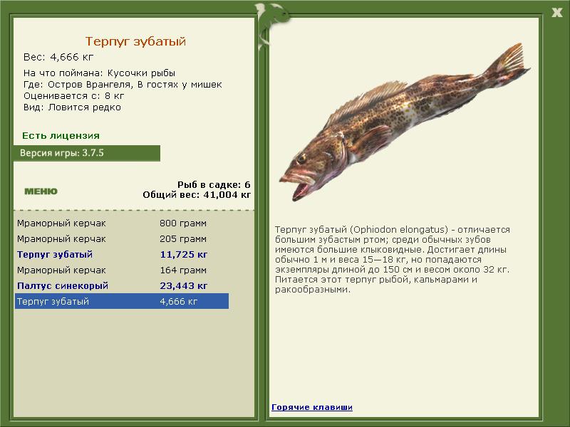турниры • РУССКАЯ РЫБАЛКА
