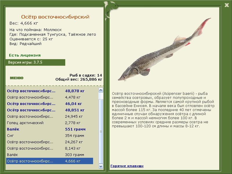 турниры • РУССКАЯ РЫБАЛКА