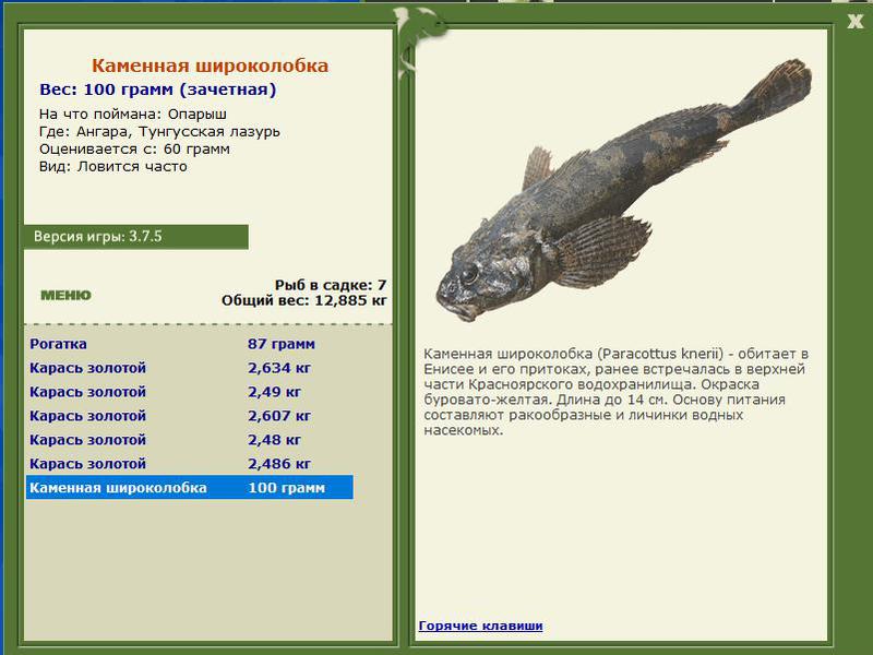 Тунгусская лазурь 