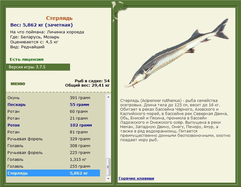 Беларусь 