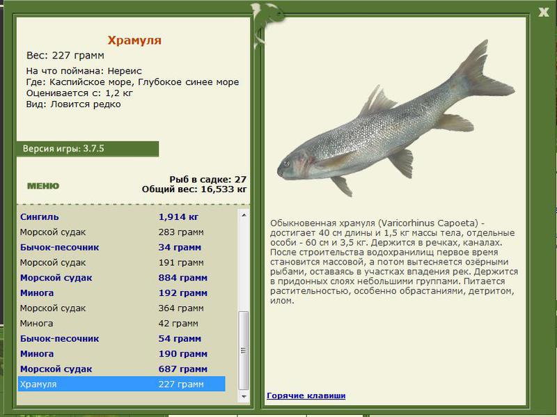 РУССКАЯ РЫБАЛКА Installsoft Edition 