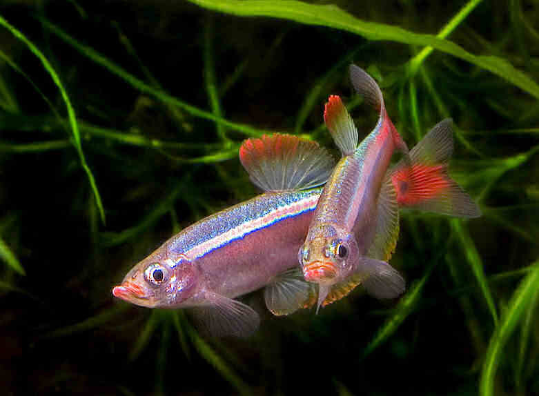  Редактировать сообщение