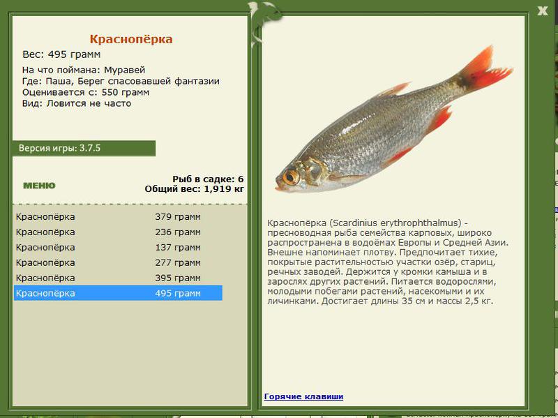 РУССКАЯ РЫБАЛКА Installsoft Edition 