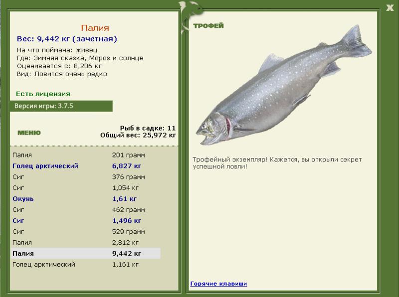 Мороз и солнце 