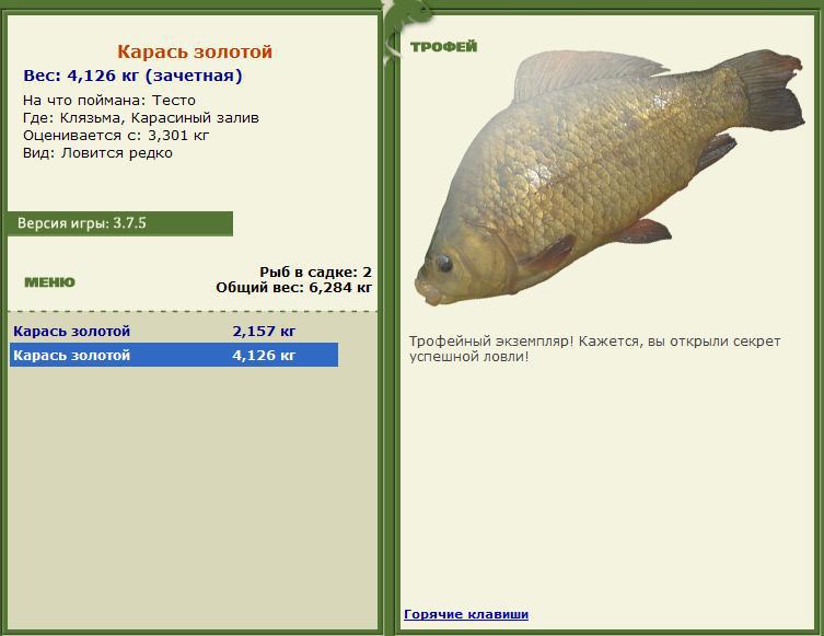 турниры • РУССКАЯ РЫБАЛКА