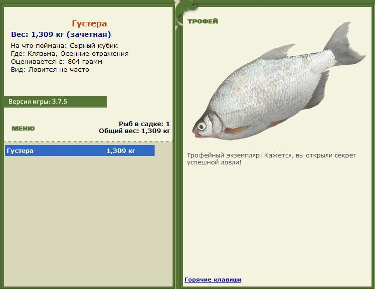 турниры • РУССКАЯ РЫБАЛКА