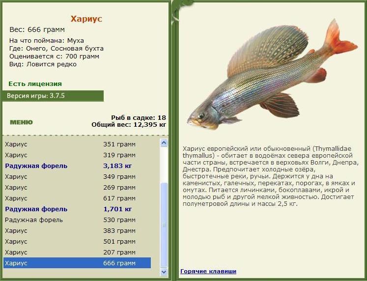 турниры • РУССКАЯ РЫБАЛКА