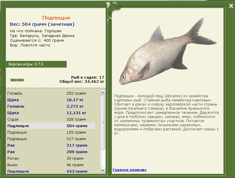 Беларусь 