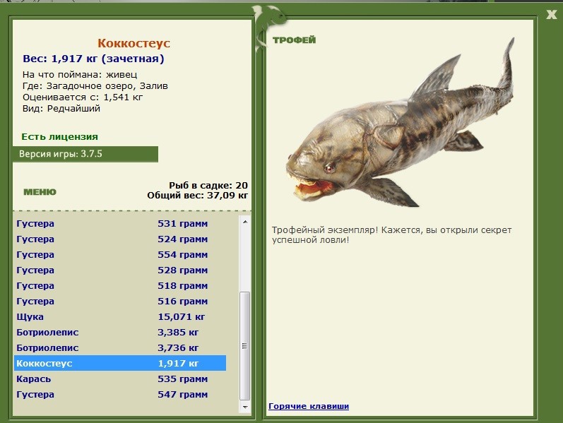 Коккостеус 