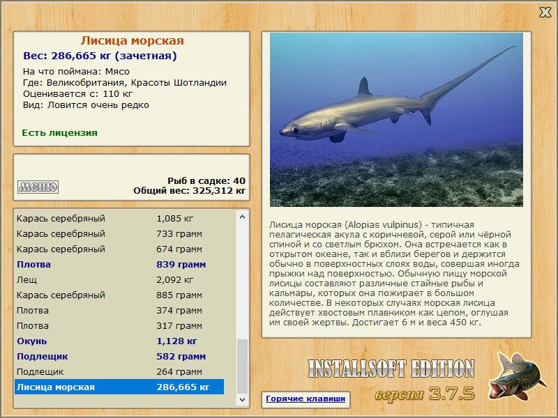 турниры • РУССКАЯ РЫБАЛКА