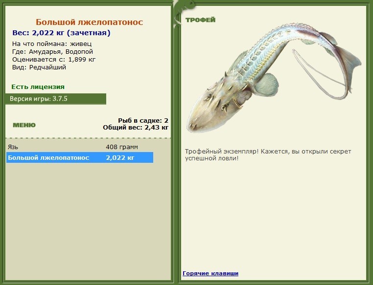 Большой лжелопатонос 
