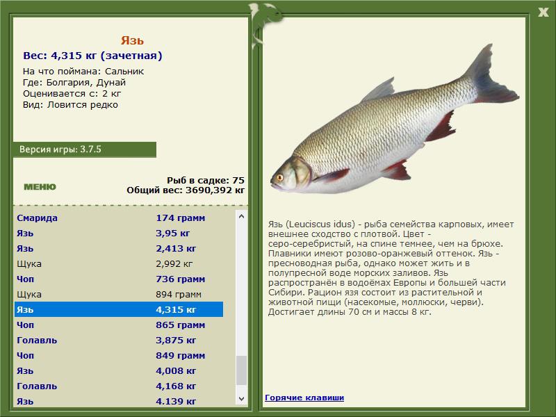 РУССКАЯ РЫБАЛКА Installsoft Edition 