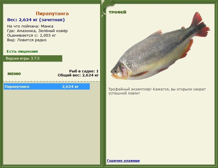 Пирапутанга 