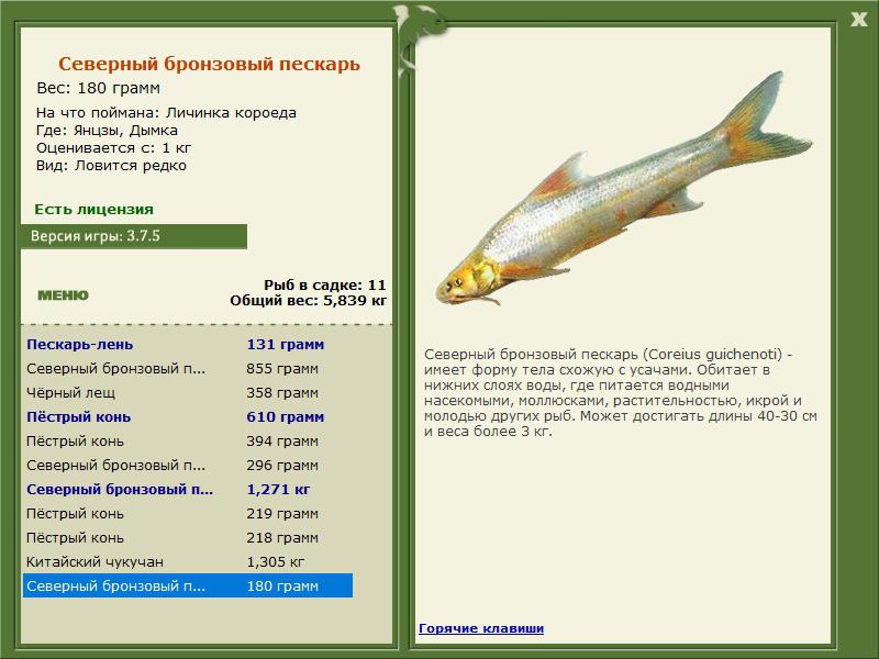 Дымка 