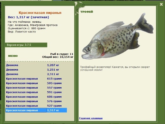 Красноглазая пиранья 