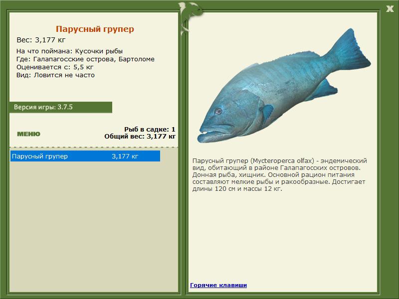 РУССКАЯ РЫБАЛКА Installsoft Edition 