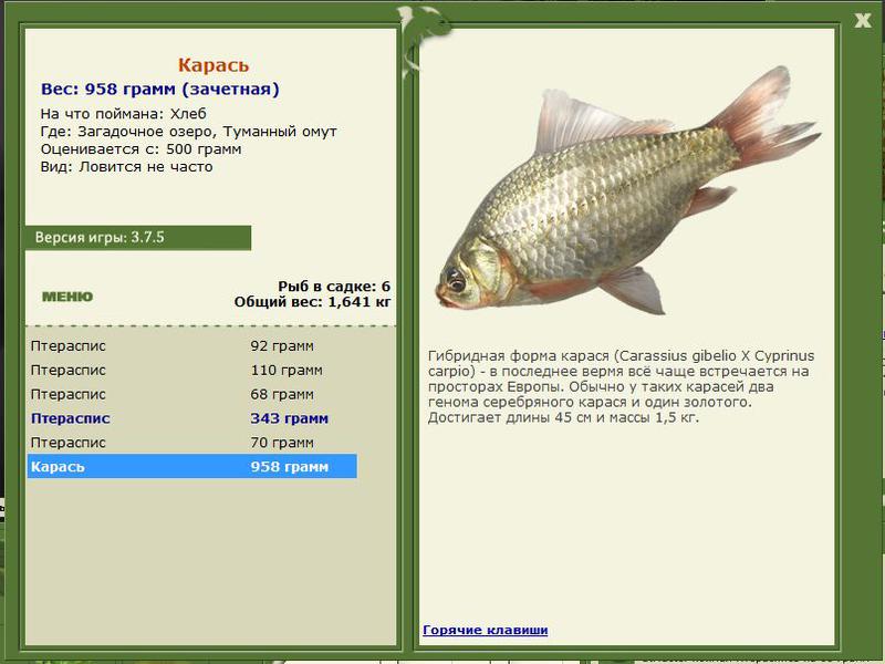 РУССКАЯ РЫБАЛКА Installsoft Edition 
