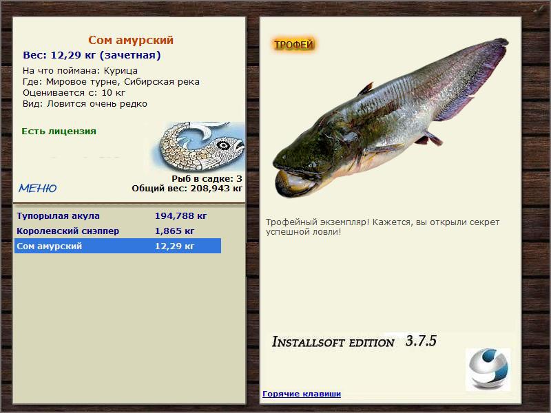 Сибирская река 