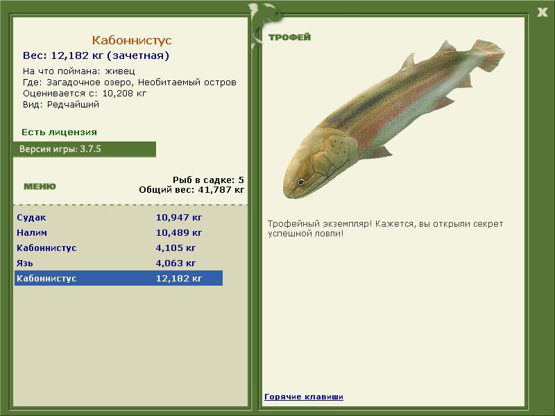 Кабоннистус 
