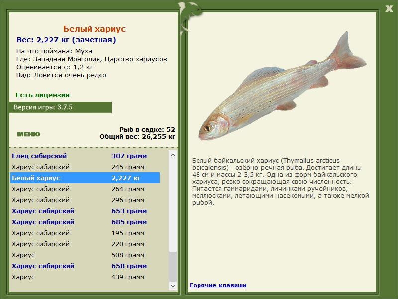 Царство хариусов 