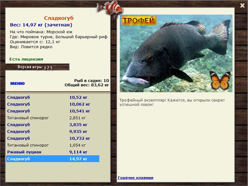 Морской ёж 