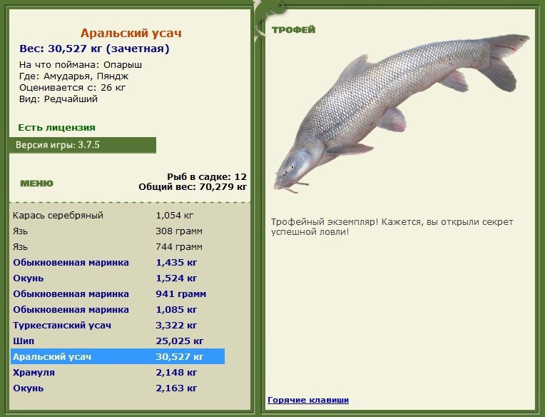 Пяндж 