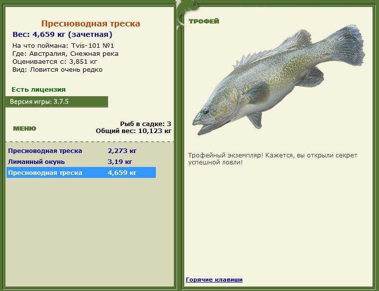 Снежная река 