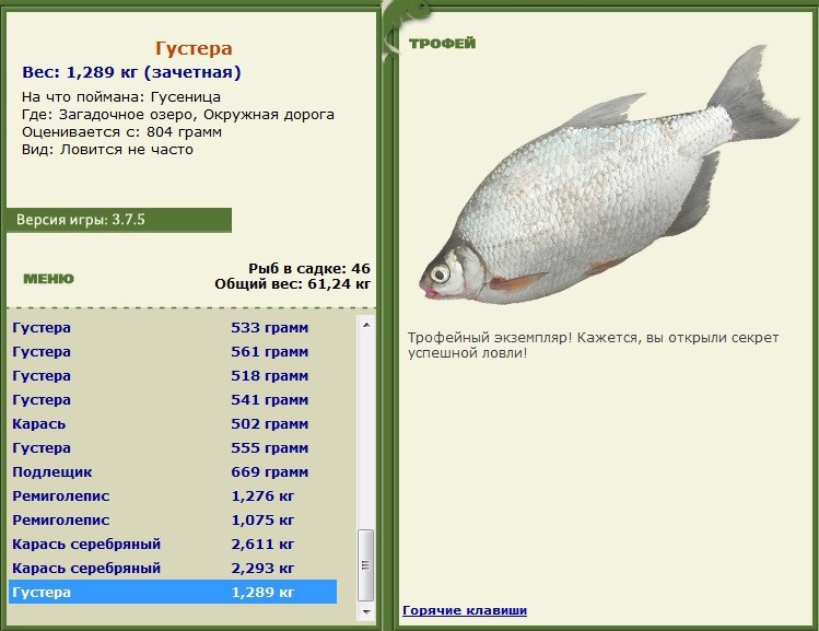 Окружная дорога 