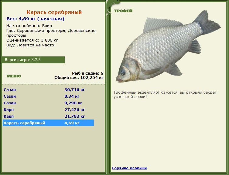 РУССКАЯ РЫБАЛКА Installsoft Edition 
