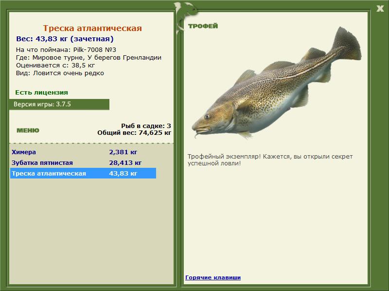 Треска атлантическая 