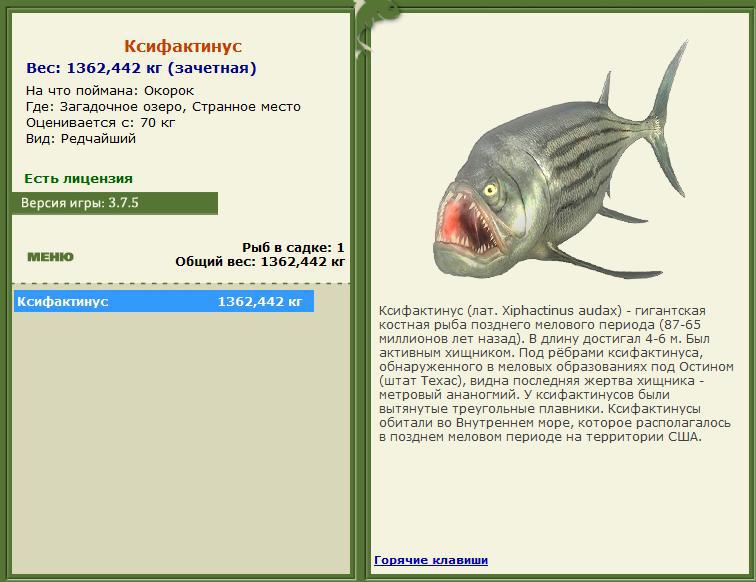 турниры • РУССКАЯ РЫБАЛКА