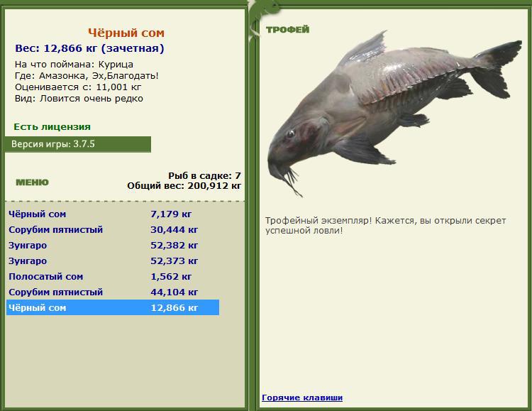 турниры • РУССКАЯ РЫБАЛКА