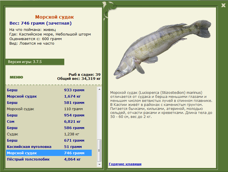 Небольшой шторм 