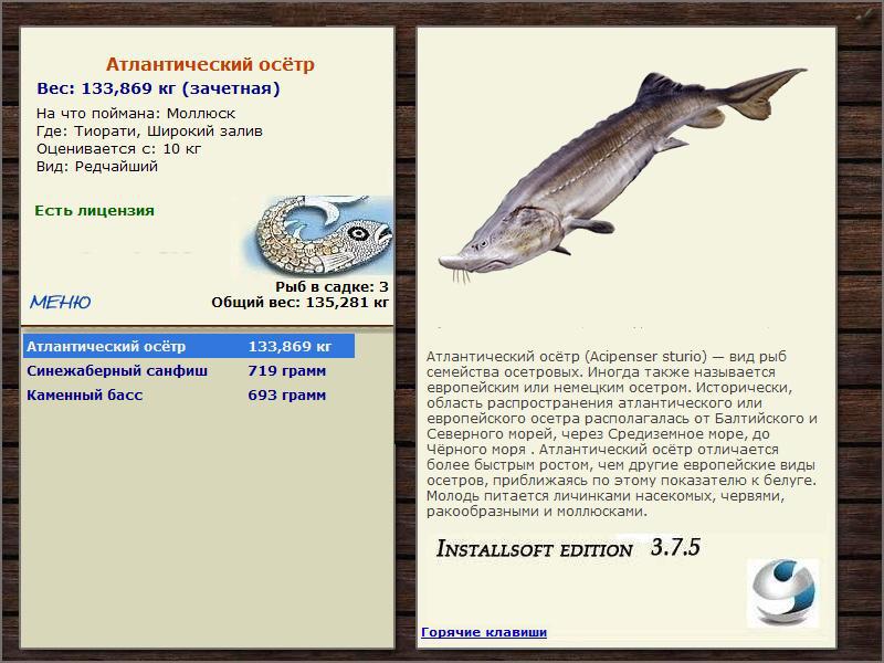 Широкий залив 