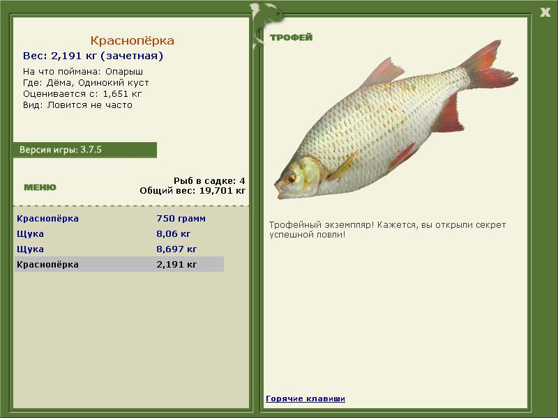 турниры • РУССКАЯ РЫБАЛКА