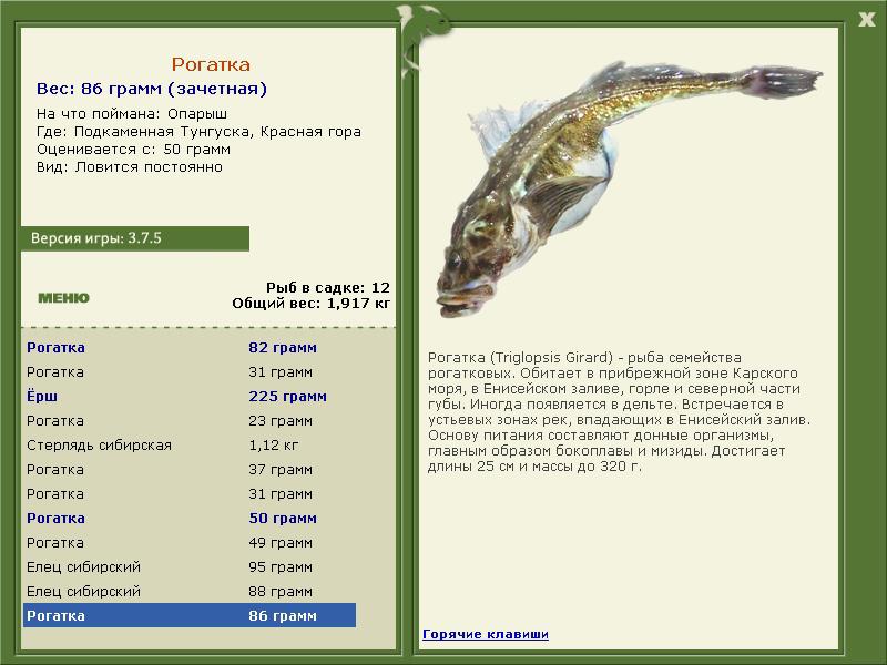 Красная гора 