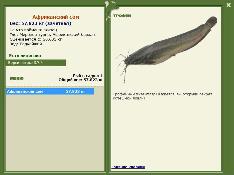 Африканский бархан 