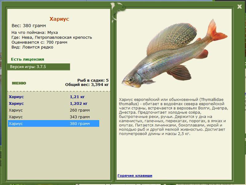 РУССКАЯ РЫБАЛКА Installsoft Edition 